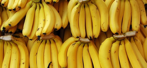 Бананы «прописались» в Туркменистане