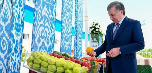 Мирзиёев поручил Министерству сельского хозяйства помочь предпринимателям 