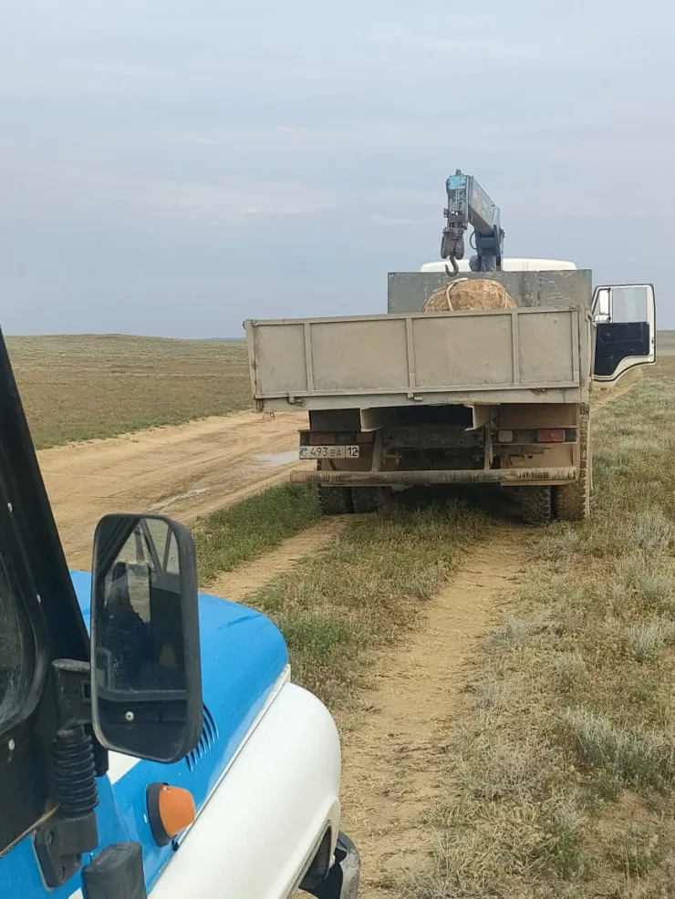 Уникальные камни вернули в Долину шаров после резонансного видео