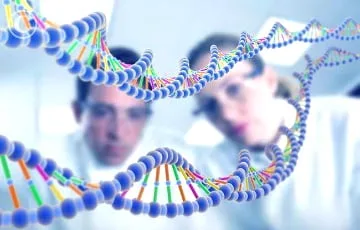 Ученые: Cлучайная мутация в ДНК сделала человека умнее обезьяны