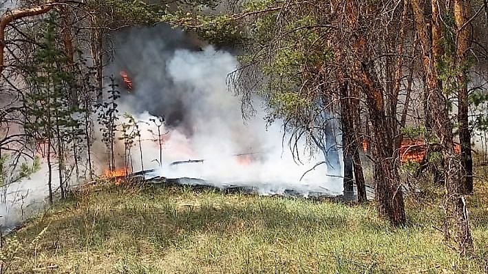 Жаркая погода привела к возобновлению лесного пожара в Абайской области