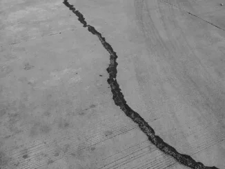 grayscale photo of a wooden floor