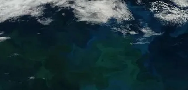 Океаны Земли меняют цвет из-за изменения климата