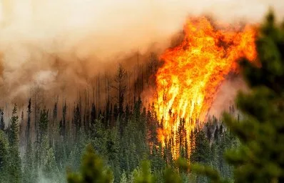 Власти Канады привлекли военных к тушению лесных пожаров