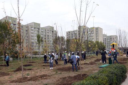 В Алматы высадят почти 300 тысяч деревьев
