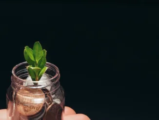 person holding clear glass jar with green plant