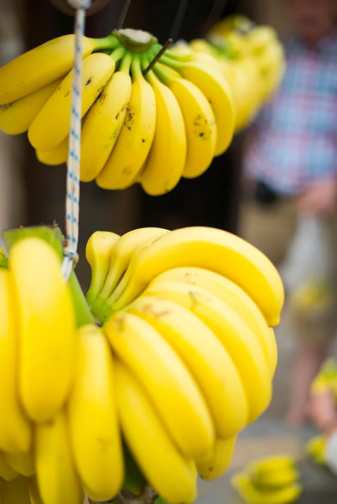 Почти 1000 тонн бананов планируют собрать в Туркестанской области