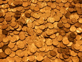 brown round coins on brown wooden surface