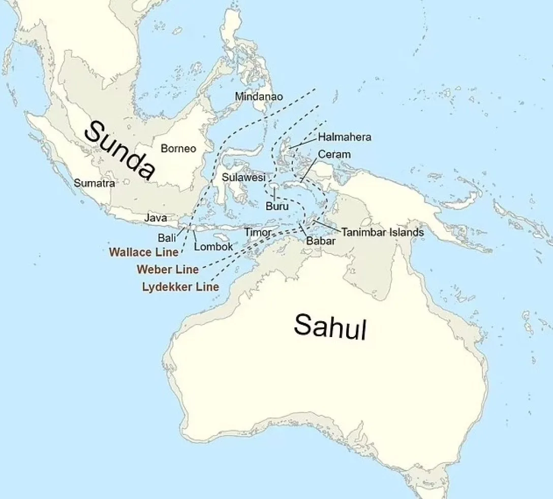 Ученые нашли затерянный континент у северного побережья Австралии