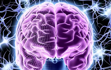 Ученые выяснили, как сохранить здоровье мозга