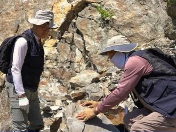 Корейские ученые нашли в Казахстане крупное месторождение лития