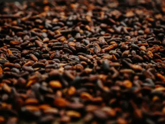 Крупнейшие какао-заводы в Африке почти прекратили свою работу