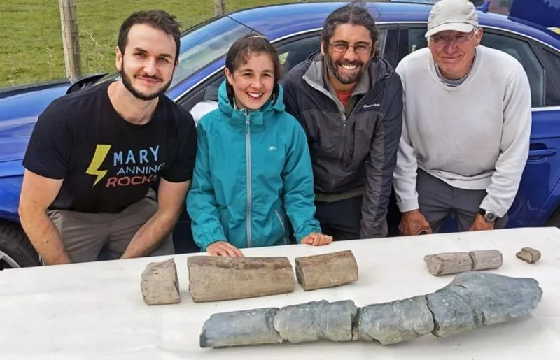 В Англии нашли кости крупнейшего морского ящера