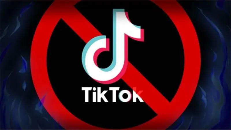 В Казахстане могут заблокировать TikTok