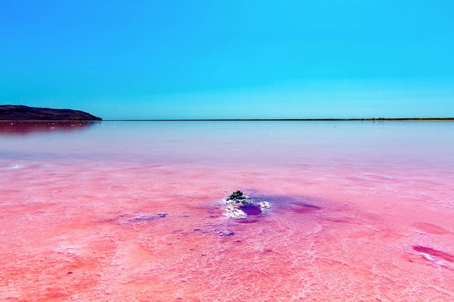Необычное розовое озеро в Казахстане