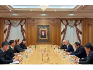 Замглавы МИД Туркменистана и представитель ПА ОБСЕ обсудили перспективы партнерства