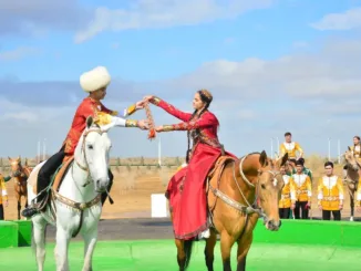 Международный конкурс красоты ахалтекинских коней впервые пройдет в Аркадаге