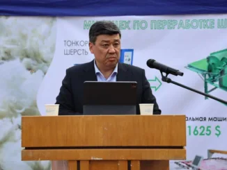 Мобильный курятник позволит фермерам Кыргызстана зарабатывать более 50 тысяч сомов