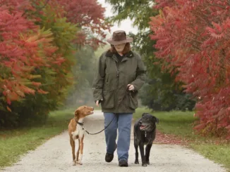 Прогулки с собакой могут предотвратить депрессию