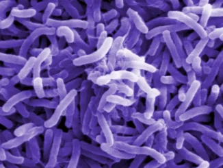 ВОЗ указала на угрозу глобальной вспышки холеры