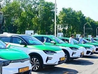В Таджикистане вводят обязательные зелёные номера для электромобилей