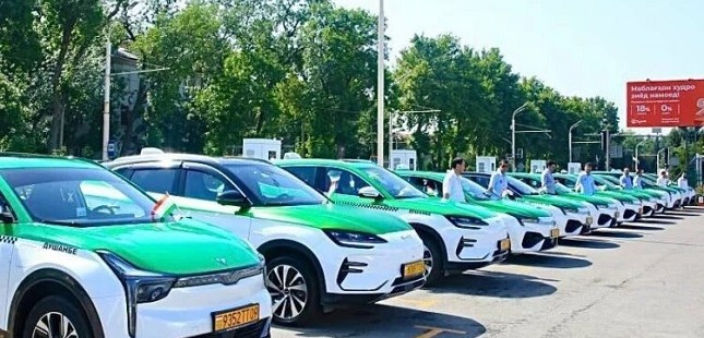 В Таджикистане вводят обязательные зелёные номера для электромобилей