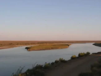 Река Сырдарья - живительная вода