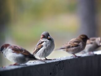 Фотограф из Алматы удивил ценителей его творчества