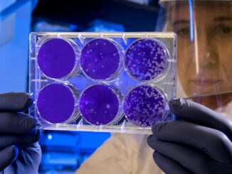 woman holding laboratory appratus