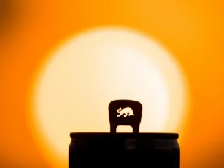 Туркменский аналог напитка Red Bull удивил посольство Японии
