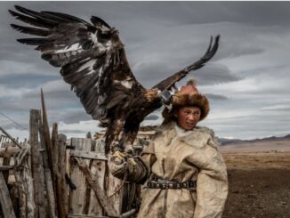 От беркута до блокбастеров: как традиции и глобальная поп-культура сосуществуют в Казахстане