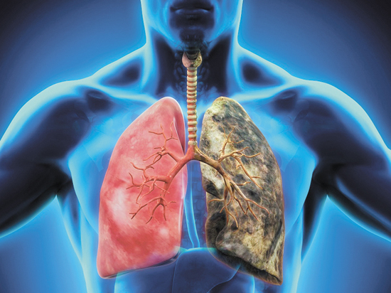 В Казахстане отмечается значительный прогресс в борьбе с онкологическими заболеваниями. Согласно недавно опубликованному отчёту Министерства здравоохранения, смертность от рака в стране снизилась на 20 % за последние пять лет — результат реализации Комплексного плана по борьбе с онкологическими заболеваниями на 2023–2027 годы. При этом смертность упала до 61 случая на 100 000 населения, а уровень раннего выявления рака превысил 33 %, что стало возможным благодаря расширению скрининговых программ и улучшению диагностики.