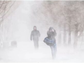 Снег в Астане, гололедица в Алматы, осадки в Шымкенте: прогноз погоды на три дня